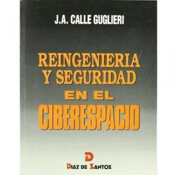 Reingeniería y seguridad en el ciberespacio