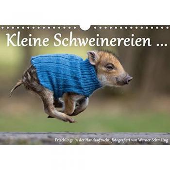 Kleine Schweinereien