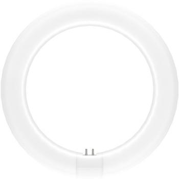 Ledvance LEDTUBE T9 Circular 11W 4-Pin Value Class Cool White Frosted
