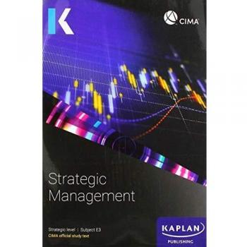 E3 STRATEGIC MANAGEMENT