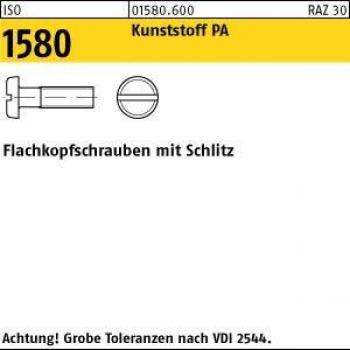 Flachkopfschraube M4 × 5, Polyamid, 200 Stk. – Reyher – DIN 85/ISO 1580