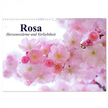 Rosa. Herzenswärme und Verliebtheit (Wandkalender 2025 DIN A3 quer)