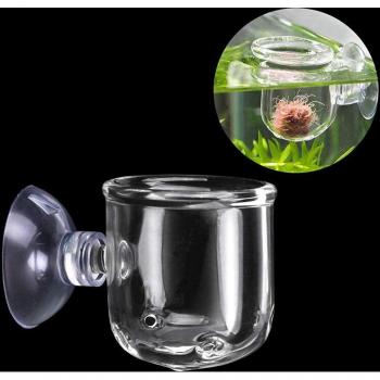 Crystal Fish Feeding Cup