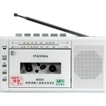 Radio para aprender inglés Panda6503 con grabadora