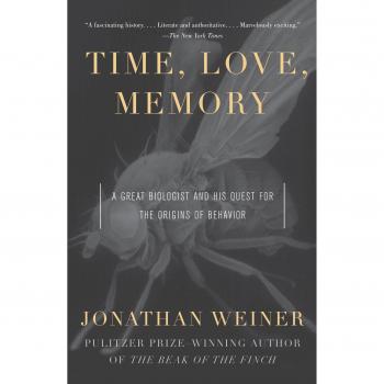 Time Love Memory