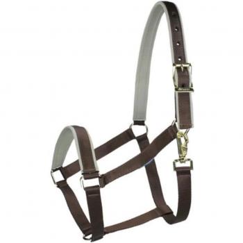 Bucas Dublin Pony Halfter Choc/Silber