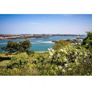 Peinture sur toile « Île de Chausey » – CEANOTHE 65x97 cm