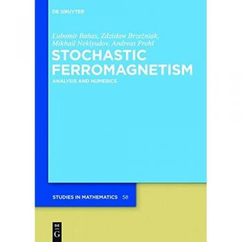 Banas, Lubomir: Stochastic Ferromagnetism