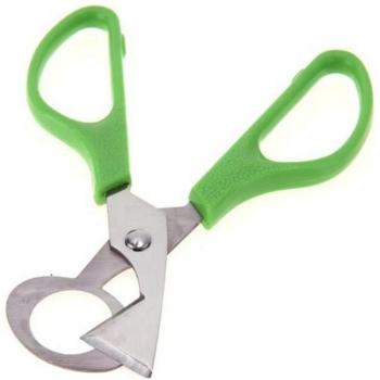 Bird Egg Opener