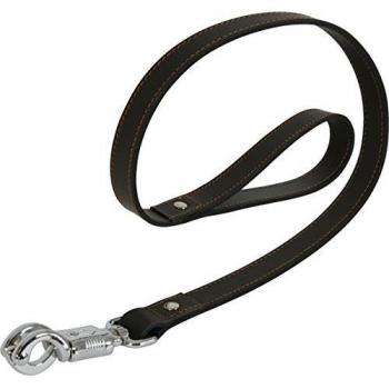 Laisse marron en cuir