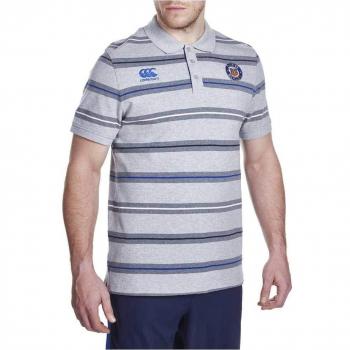 Canterbury Rugby Stripe Polo – Grey (M)