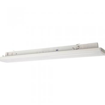 Linear Pro Deko Light 60 W LED Trifase in Bianco