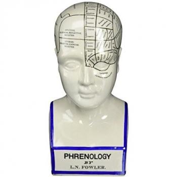 Toscano Phrenology Head Fortune Statue – Porcelain, White