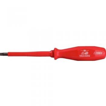 Cacciavite Professionale Torx T25