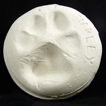Pet Paw Print Imprint Air Dry Clay Set – White Keepsakes