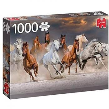 Puzzle 1000 pièces HOMMES SAUVAGES DU DESERT