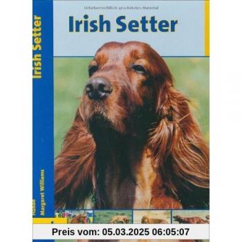 Irish Setter, Praxisratgeber