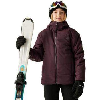 Dare 2B Explorer Breathable Ski Coat – Purple, Size 15-16