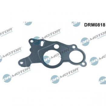 Junta Motor Automotive DRM0818