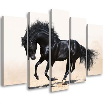 Tableau moderne : Galop du cheval noir 100x70 en cinq sections