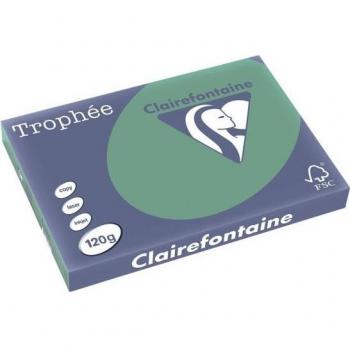 Papier Coloré A3 120 g/m² Vert Pin Clairefontaine
