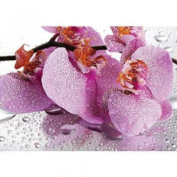 Wandbild „Orchideen-Tropfen“ in violettem Vlies