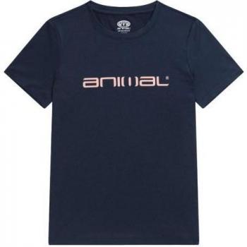 T-shirt hybride de natation pour dames Latero 6 UK bleu clair