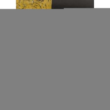 Alessandro Mattia Mazzoleni. Interspazi. Percorsi e divagazioni della visione. Ediz. multilingue