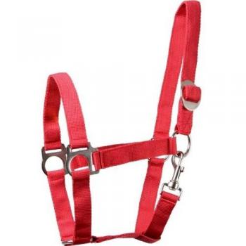 Red Perlon Halter – Cob Edition