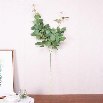 Decoración Hotelera Rosa y Verde