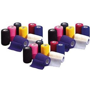 Vetrap Bandage Rolls, Pack of 24, Dimensions 4.5m x 10cm, Vibrant Hues