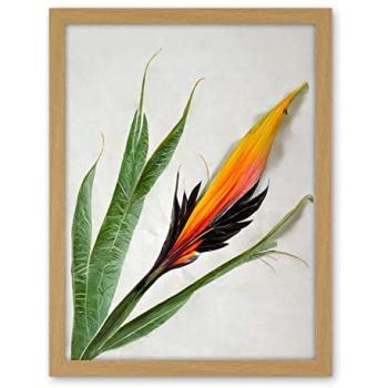 Paradise Bird Oasis Wall Décor in White & Oak