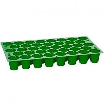 Romberg Piatto per germinazione 50 x 30 x 6 cm