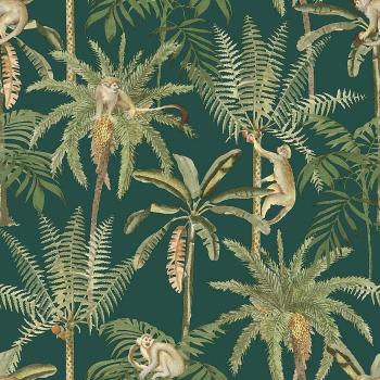 Arbres en papier Amazonie