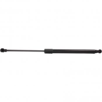 Laisse canine Trixie en cuir sombre – 12 mm, 2 m