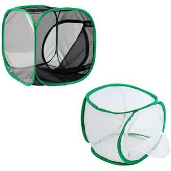 Pièce Boîte de Transport Caméléon pour Mantes Religieuses