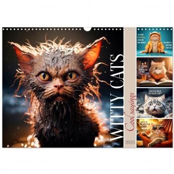 WITTY CATS Cool sayings (Wall Calendar 2025 DIN A3 landscape) CALVENDO 12 Month Wall Calendar