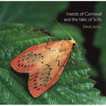 Insects of Cornwall and the Isles of Scilly
