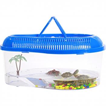 Transparent Turtle Tank