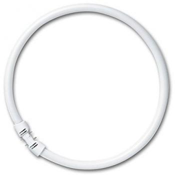 Lampada Fluorescente Osram T5 FC 2Gx13 40W 830