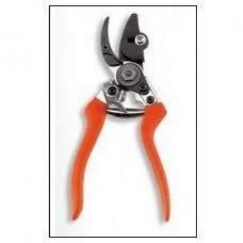 Piccola Taglia-Fornitura Stocker – Forbice Colore