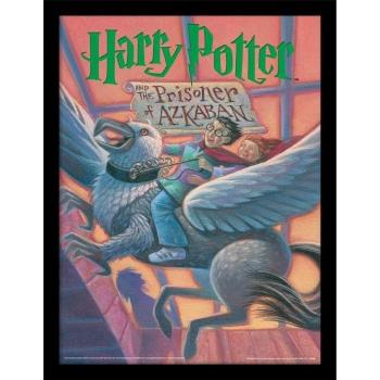 Harry Potter e il Prigioniero di Azkaban Poster 40cm Incorniciato