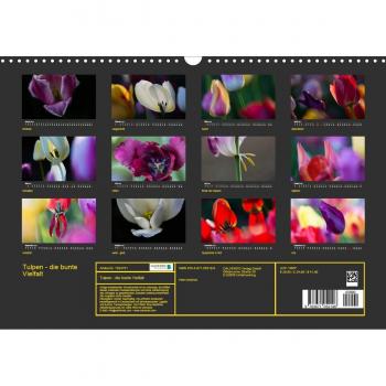 Tulpen