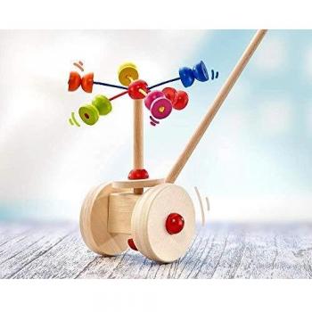 Roller Poussable SELECTA 62031 Bois Enfant Couleurs Vives