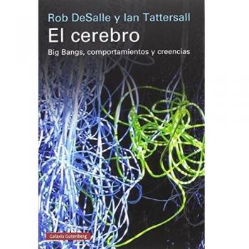 El cerebro
