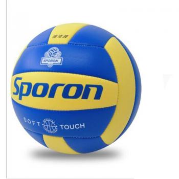 Indoor Outdoor Volleyball