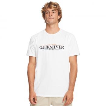 Quiksilver T-Shirt „Wellen Gradient“