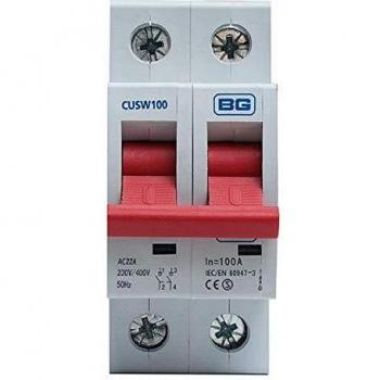 100A 4-Pole Main Switch