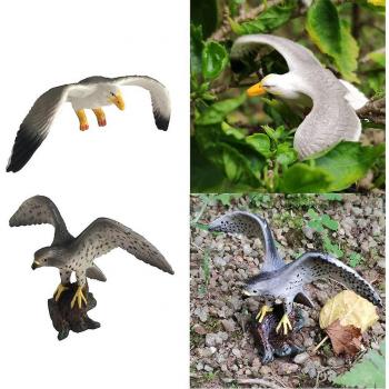 Modèle d’Oiseau – Mouette et Faucon Mini