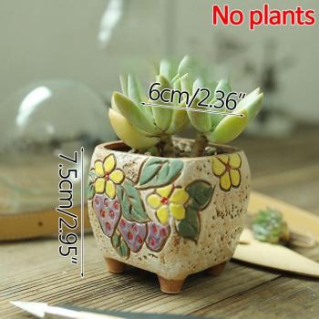 Maceta de flores suculentas Strongwell, cerámica áspera y transpirable, fresa decorativa